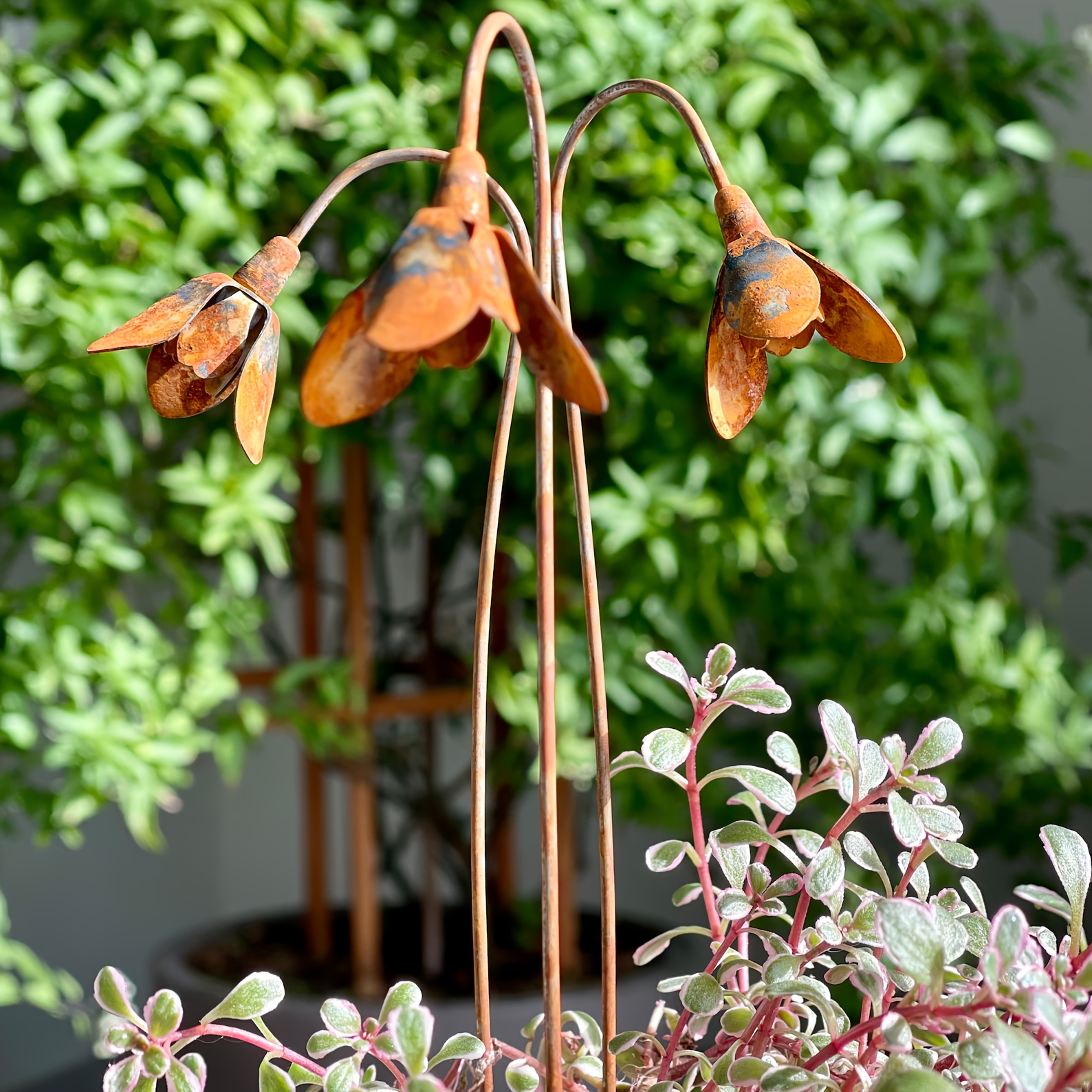 3er-Set, 3D Metall Schneeglckchen Knstliche Blume Dekorative  Gartenstecker - Auen Eisen Blumendekoration - Rostiger Ornament fr Vase  und Pflanztopf - Rostiger Metall Gartendekor - Gartenblumen ...