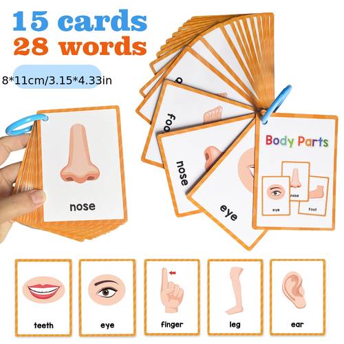 15 Cards 28 Words Youngsters English words Body Parts Cognitive Card learning Flash Cards for Youngsters Education Enlightenment English Learning Card