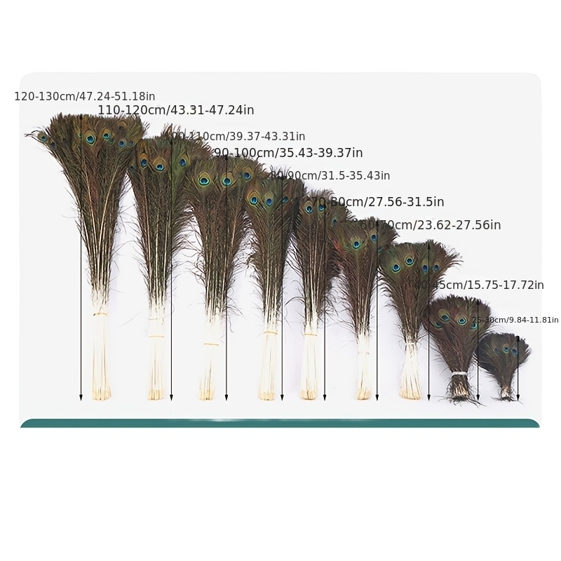 꽃꽂이, 꽃병용 꽂이재, 귀걸이용 큰 눈의 공작 깃털, 팩당 10개, 길이 25-130cm, 공작깃털 부채