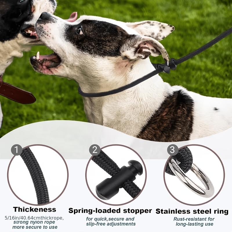 Dog Training Leash with Adjustable Metal P-Collar, Anti-Pull Design
