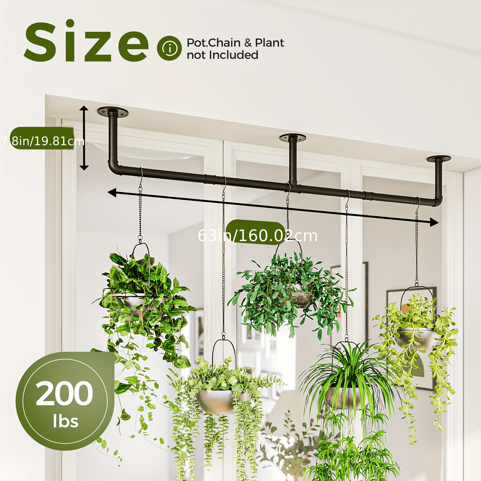 shell plant hanger Shell Plant Hanger  Nate's Garden Supply