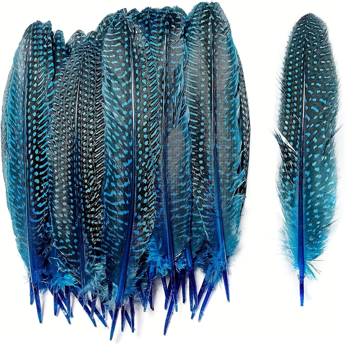 Blue Feathers - Temu