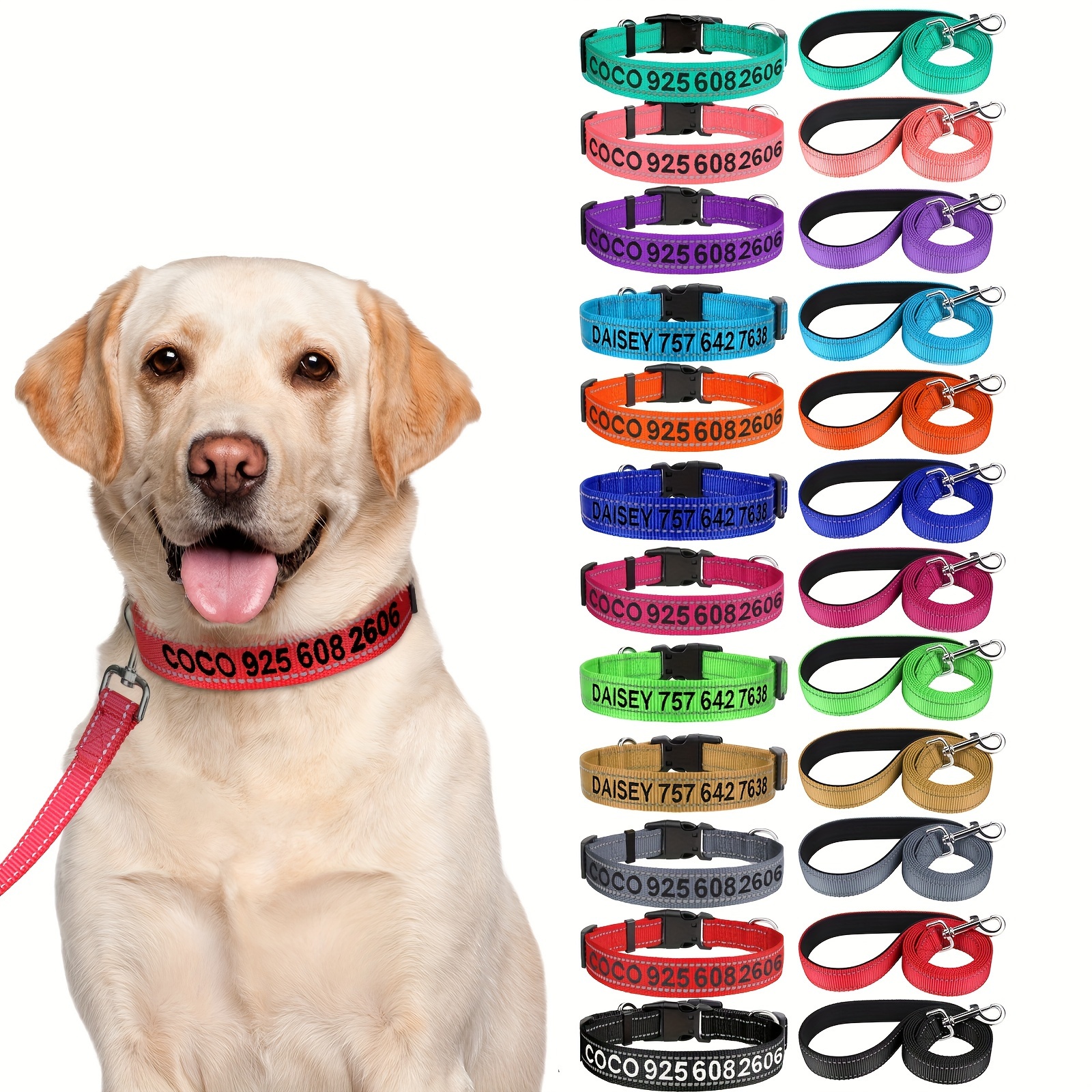 Dog collars and outlet leads