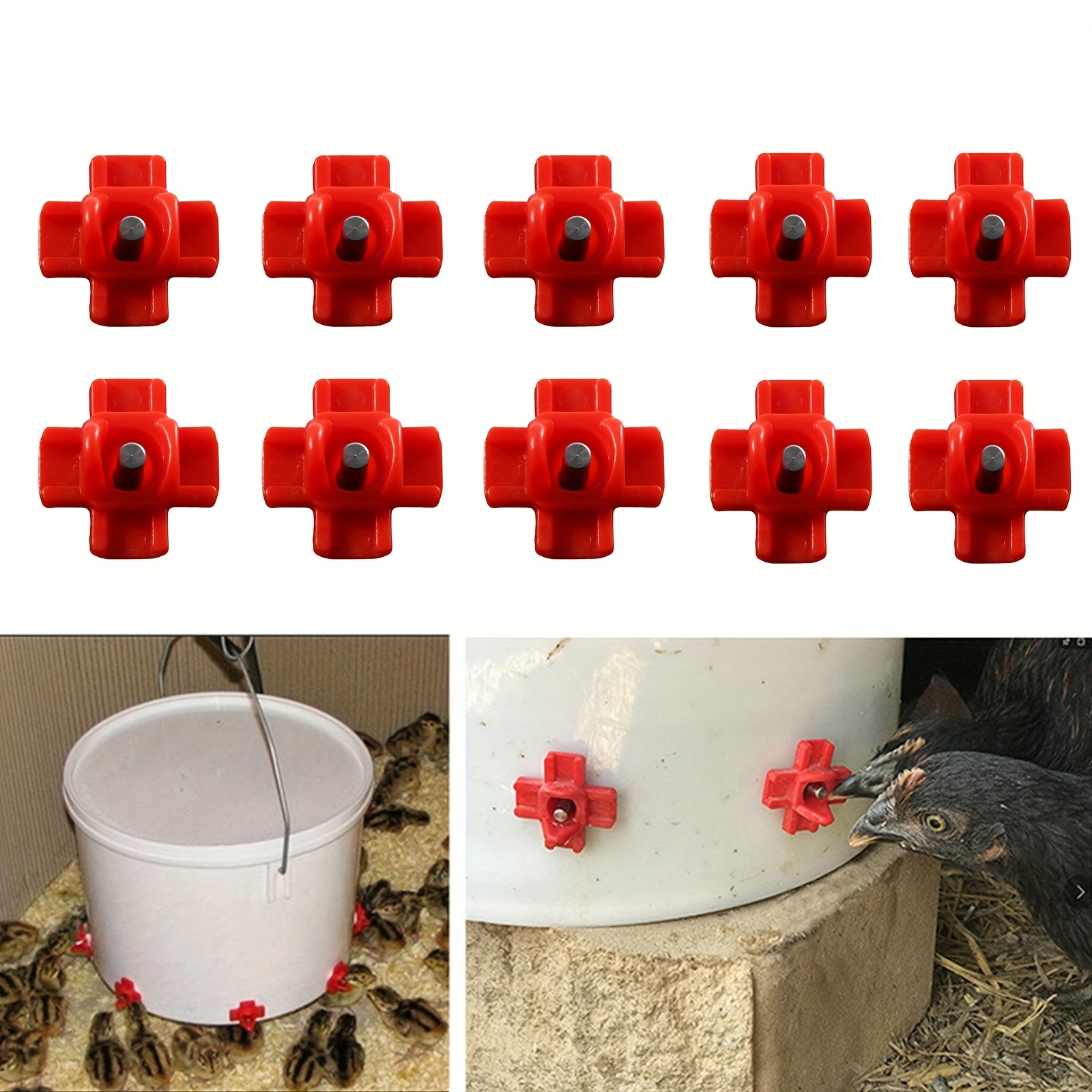 Automatic Poultry Waterer with 5 Lubing Nipples · Dine a Chook NZ