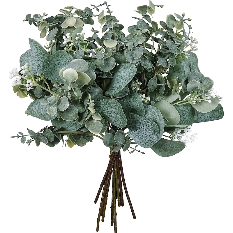 Eucalyptus Decor - Temu