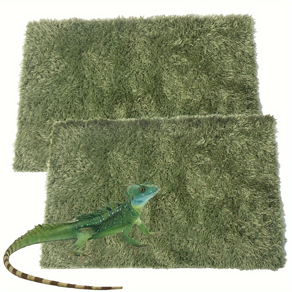 Reptile Carpet - Temu