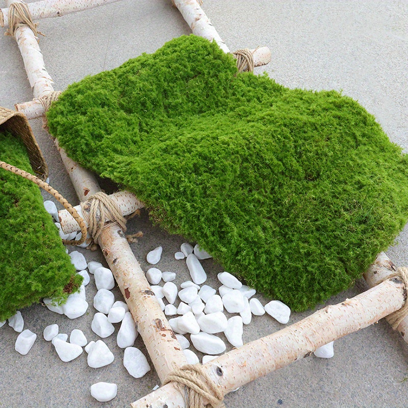 4 Moss Simulation Lifelike Lichen Grass Moss Scene Layout Prop Craft for  Home Shop