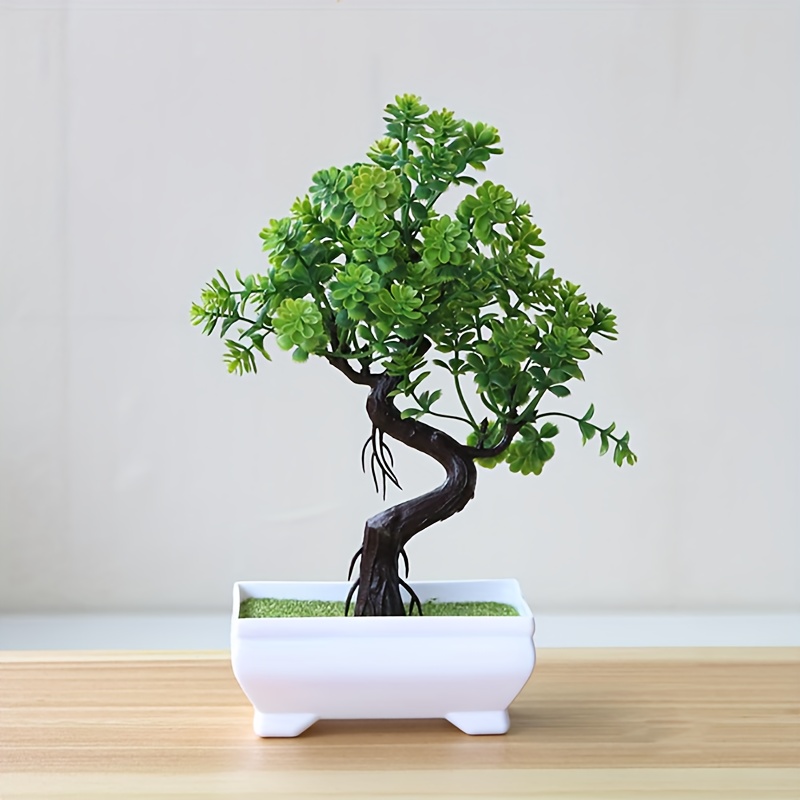 Pot de bonsaï chinois pour la décoration intérieure, plante non incluse,  micro-paysage créatif - AliExpress