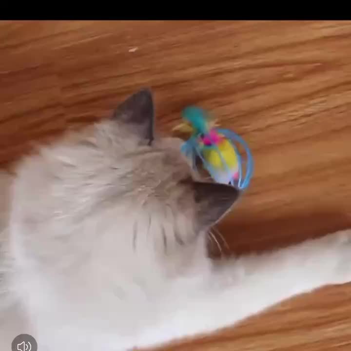 Fun Interactive Cat Toy with Tail - Artificial Feathers
