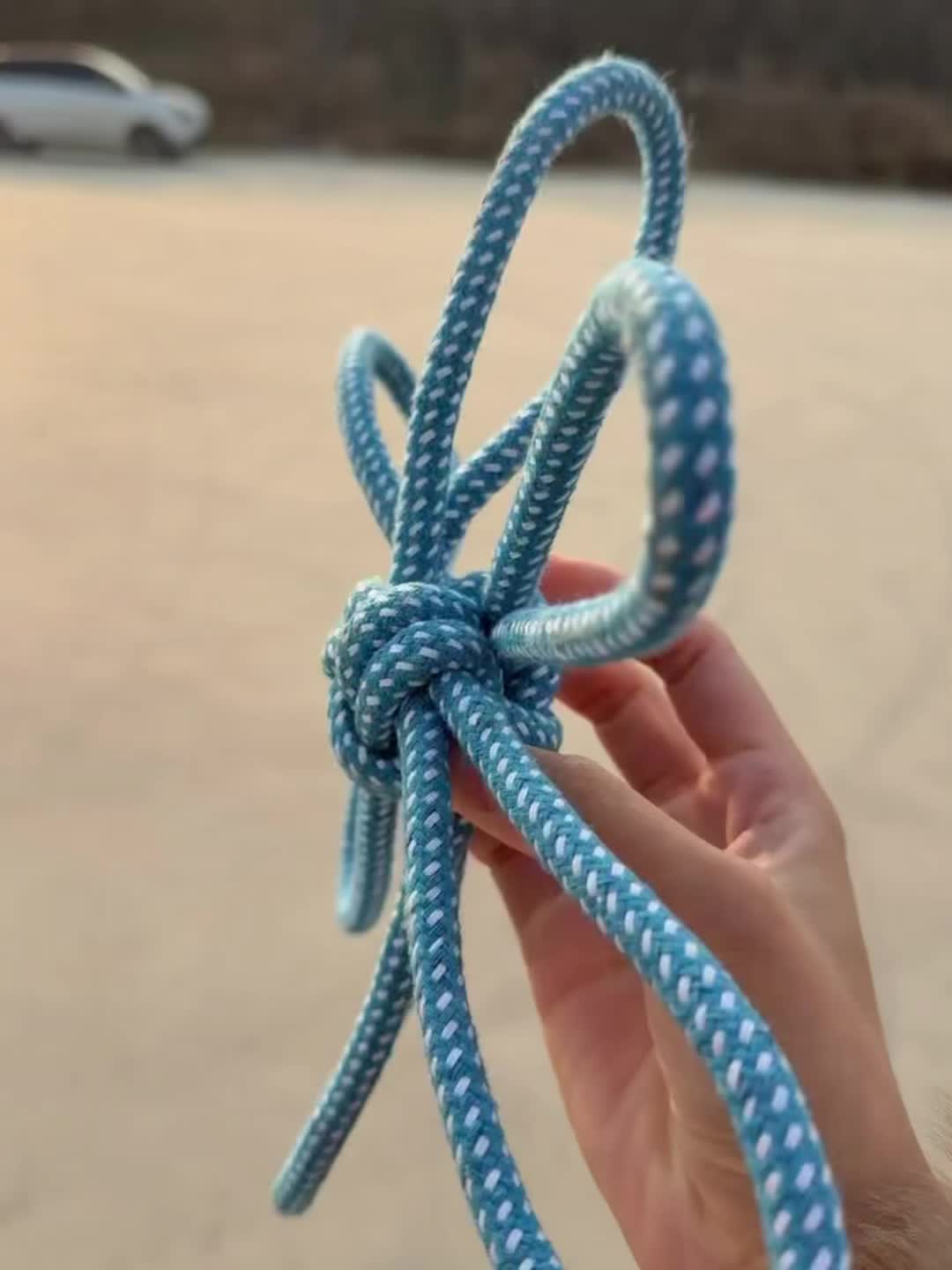 Flower-Shaped Dog Bite Toy for Interactive Training
