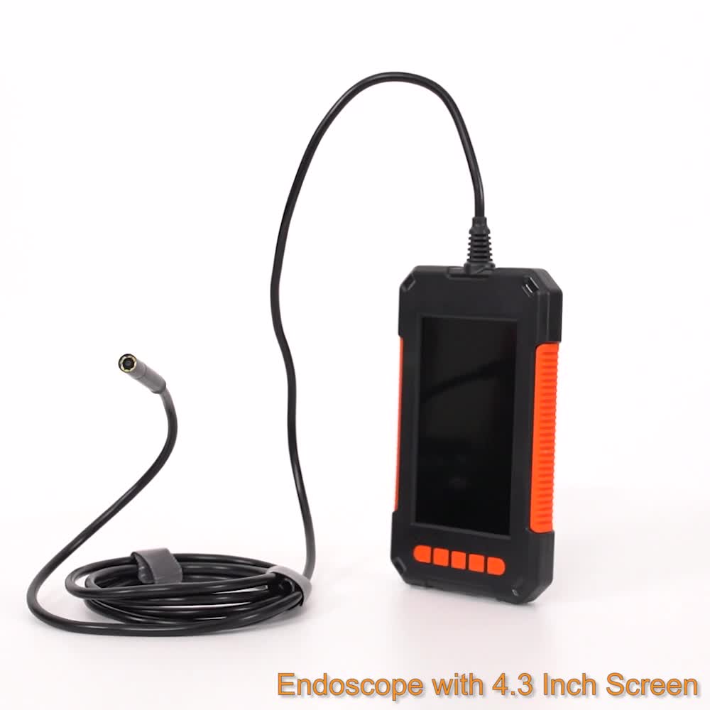  GOLDEGGS Borescope,4.3”Industrial Endoscope Camera