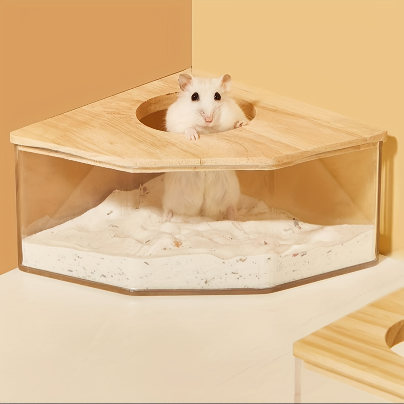 Hamster Cages - Temu Canada - Page 8