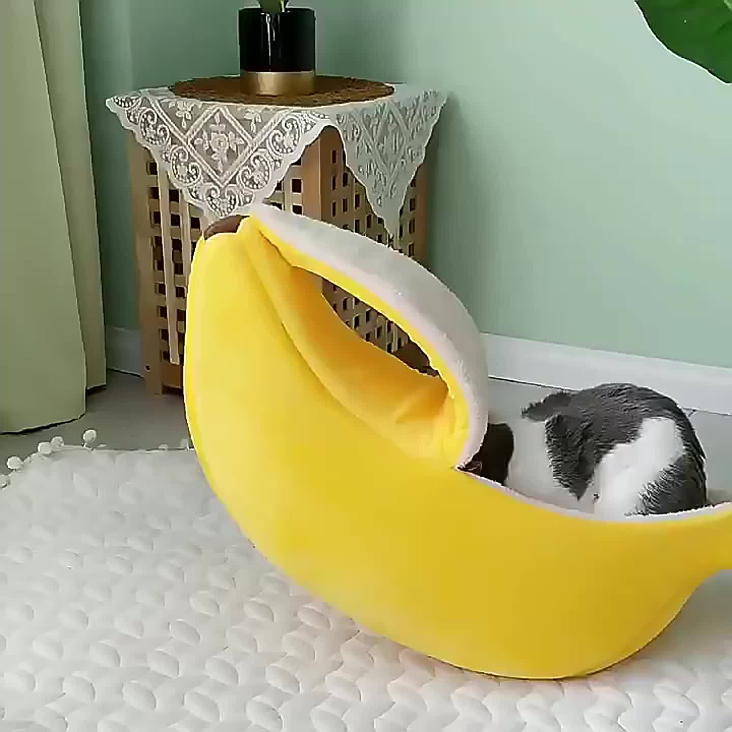 Cat banana clearance peel bed