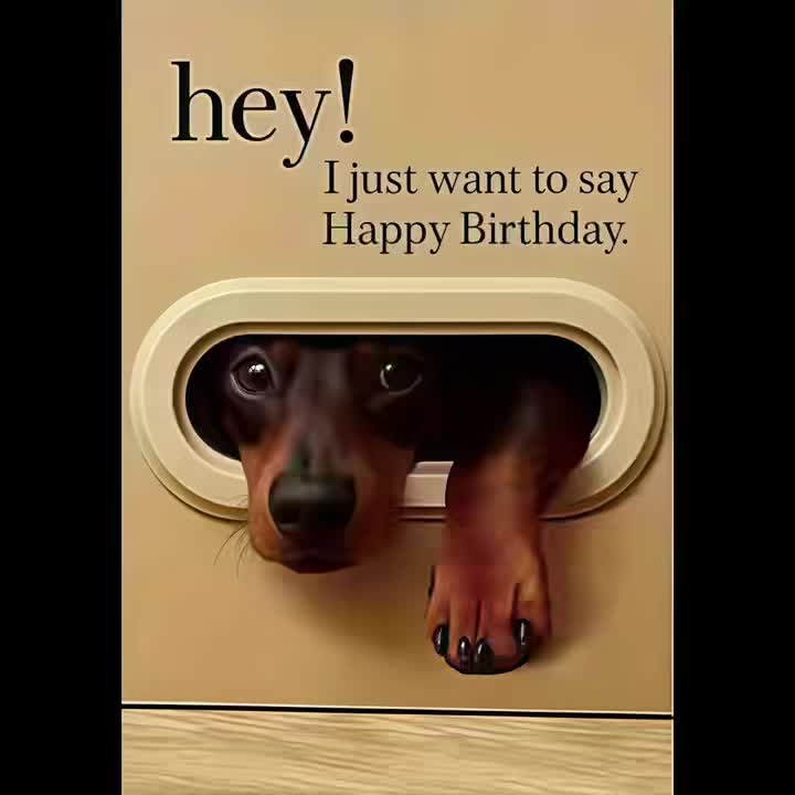 A Humorous Animal-Themed Birthday Card (With Envelope), Featuring Cute Pet Designs, Specifically Made for Dog Lovers, Suitable for Birthdays, Thank You Notes, Christmas, And Everyday Gifting Occasions! - Image 11