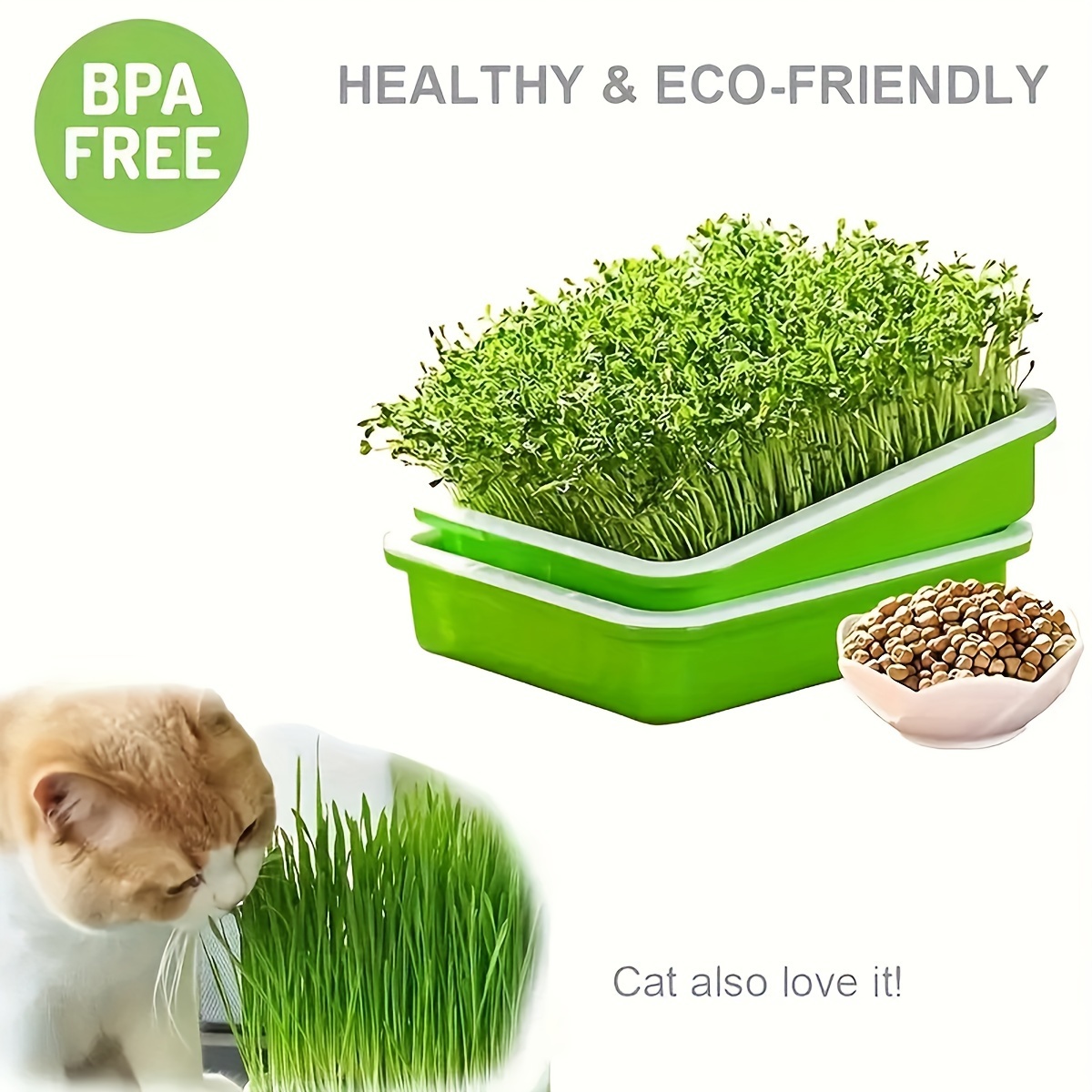 Jardinière d'herbe à chat, kit d'herbe à chat, kit de culture d'herbe à chat,  récipient de plantation d'herbe à chat sans sol, facile à planter, plantes  de pépinière, convient for l'intérieur (