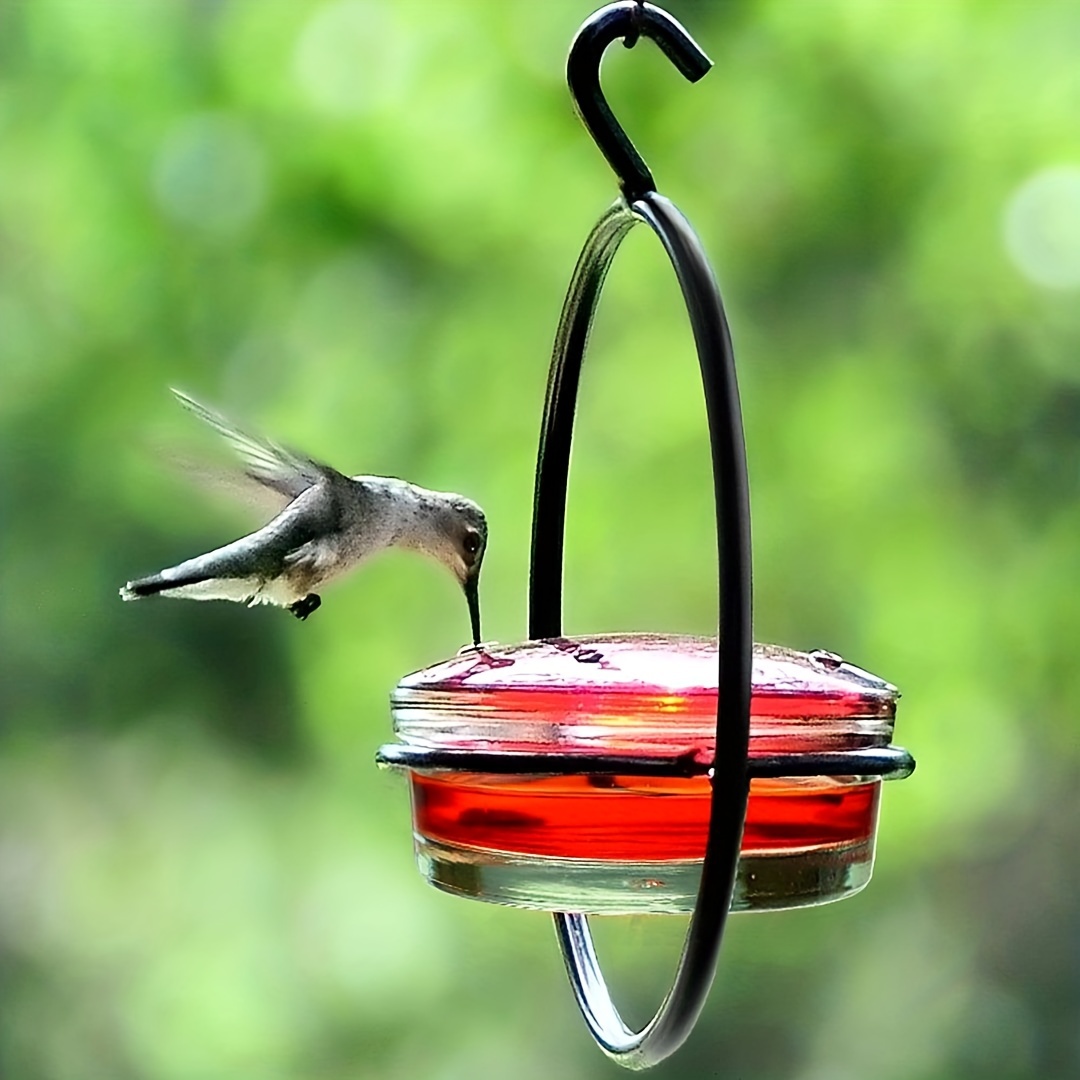 Hummingbird on sale feeder ring