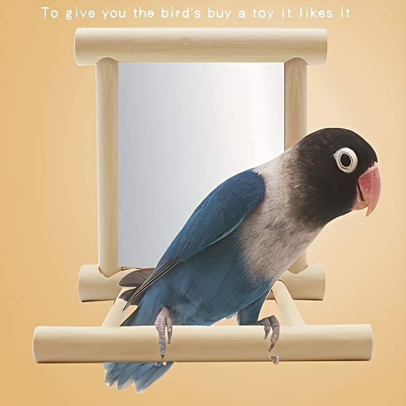 Pendulum bird cheap toy