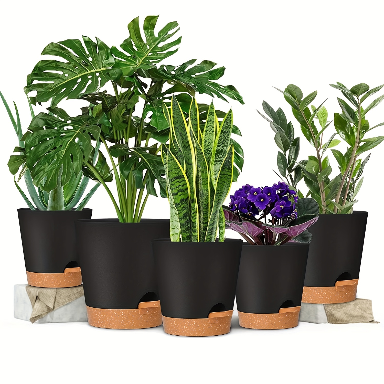 T4U 20cm Vasi per Piante Autoirriganti Set di 6, Vasi da Esterno Plastica  Rotonda, Vasi Decorativi Interno Moderni con Sottovasi per Casa e Ufficio,  Nero : : Giardino e giardinaggio