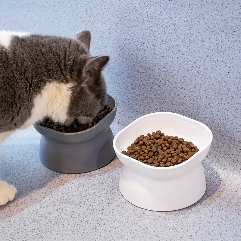 Cat food outlet dishes