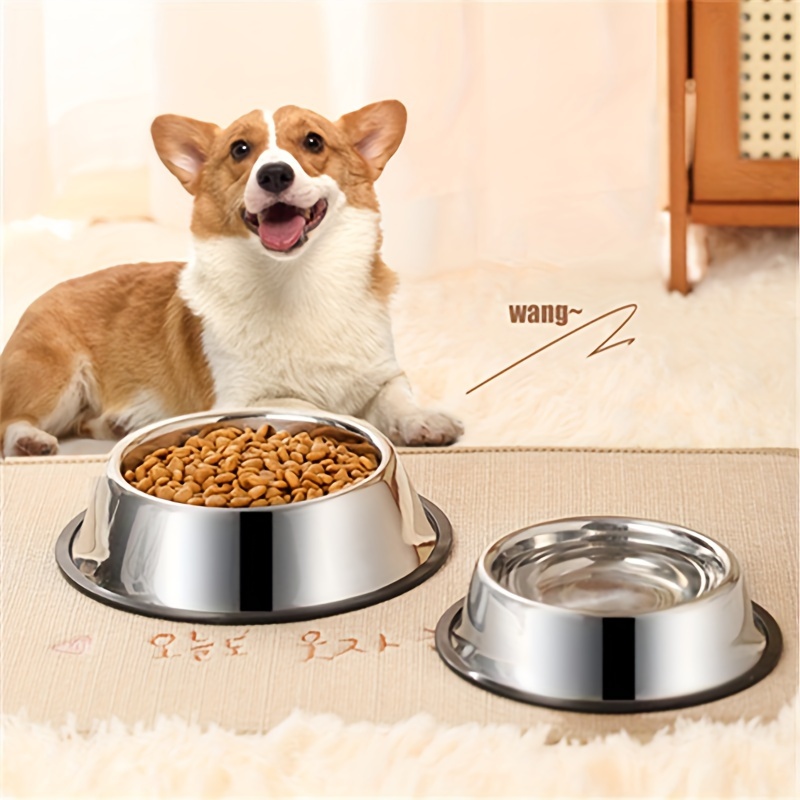 Dog top eating plate