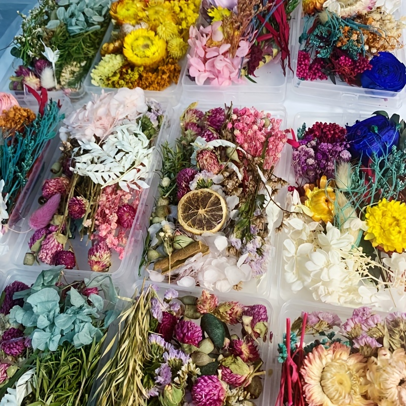 Composición con muchas flores secas en jarrones.
