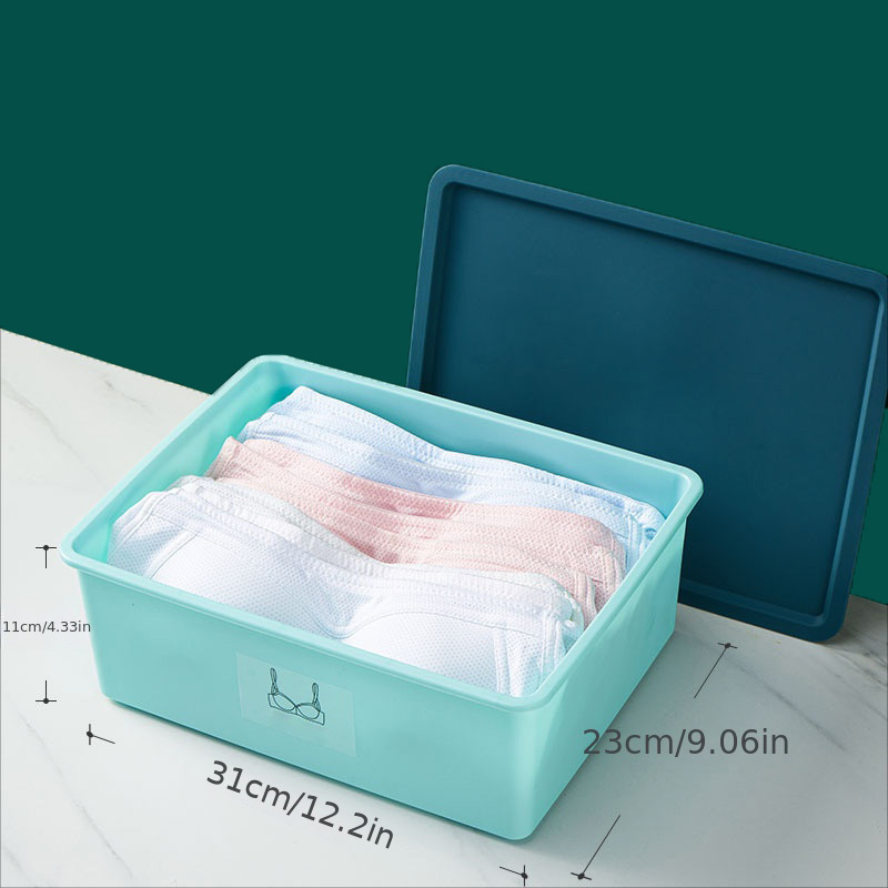Underwear Storage Box, 1 Bra Panty Socks Compartment Box With Lid