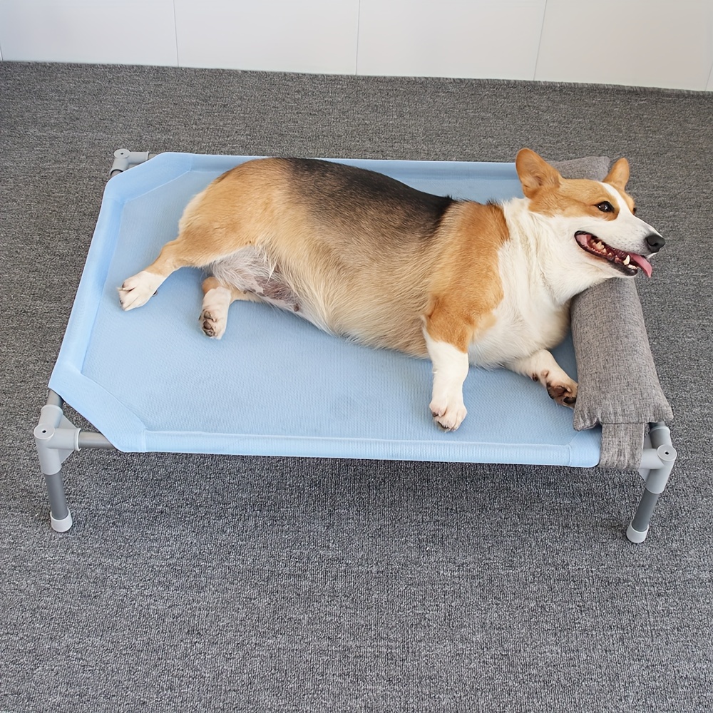 Clam dog outlet bed