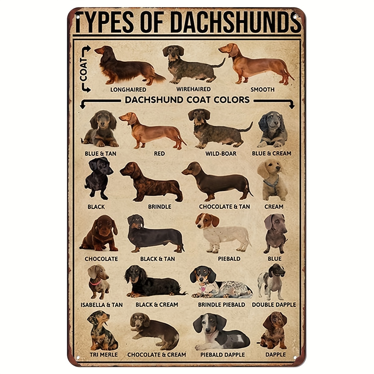 Trading post hot sale dachshund