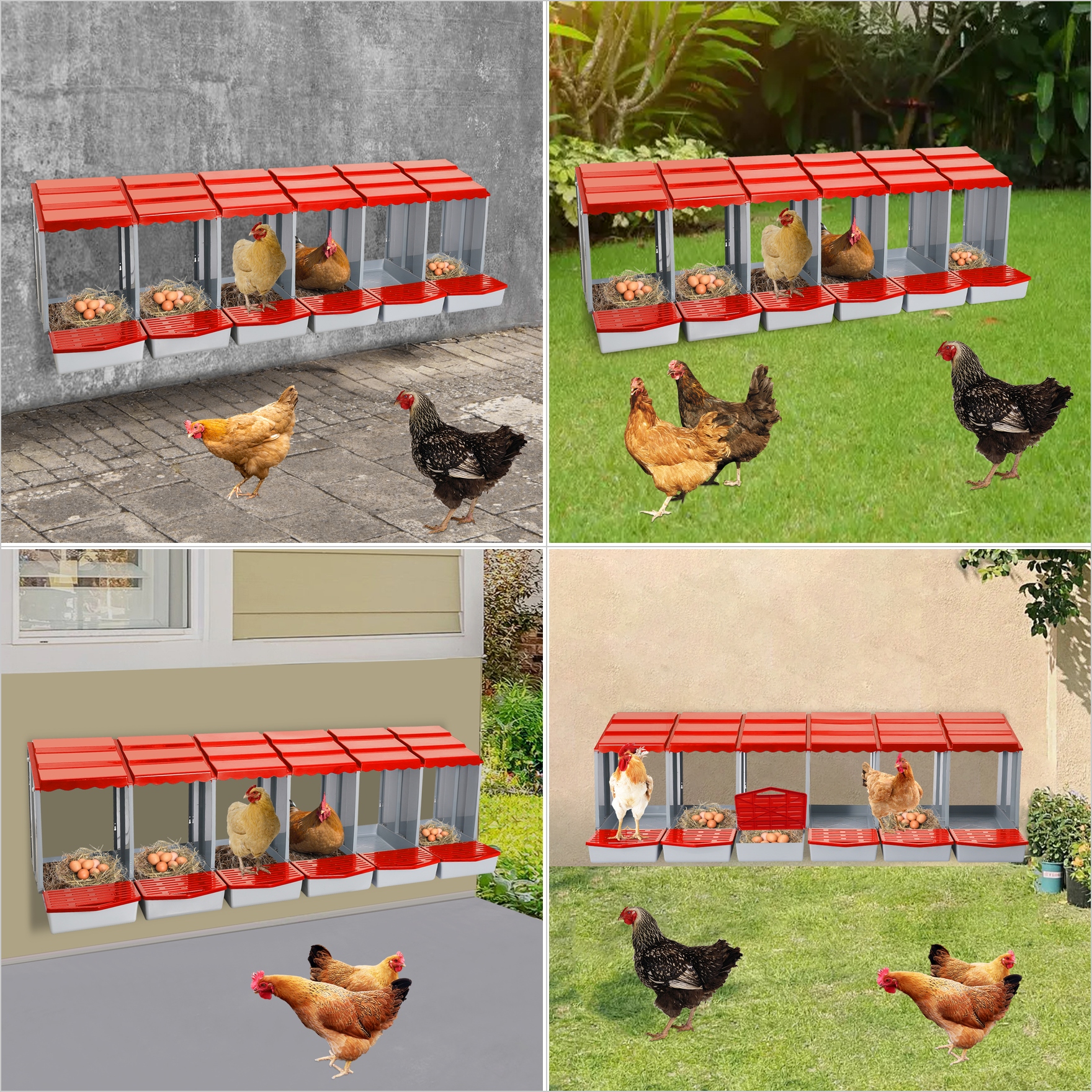 TEMU Scatola a 6 scomparti per polli con finitura liscia e design , per galline, utilizzata in case, fattorie, pollai, cortili posteriori, cortili,