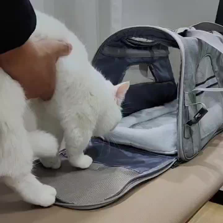 Cat Backpack Lightweight Portable Pet Travel Backpack