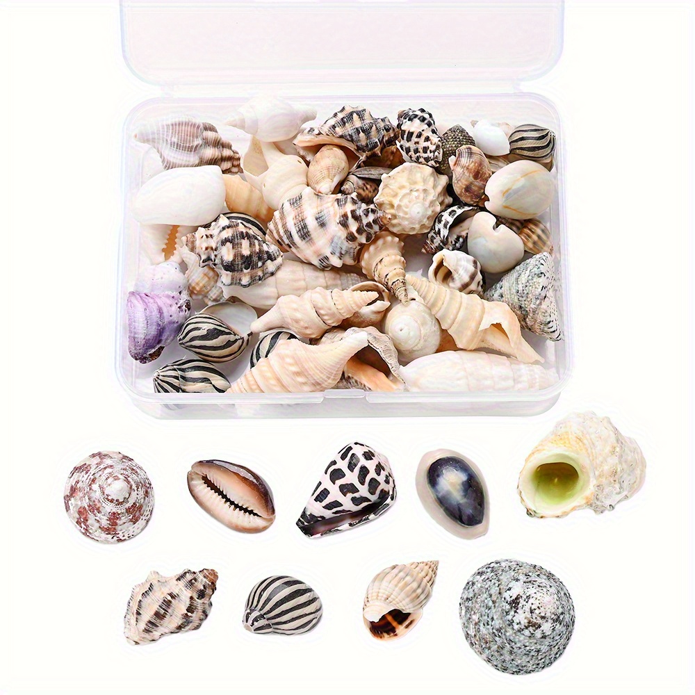 TEMU 100g/box 0.59-3.94-inch Mixed Shells, Non-porous Summer Jewelry Diy Supplies-beads Are Used For Jewelry Making Beach-style Earrings, Necklaces,