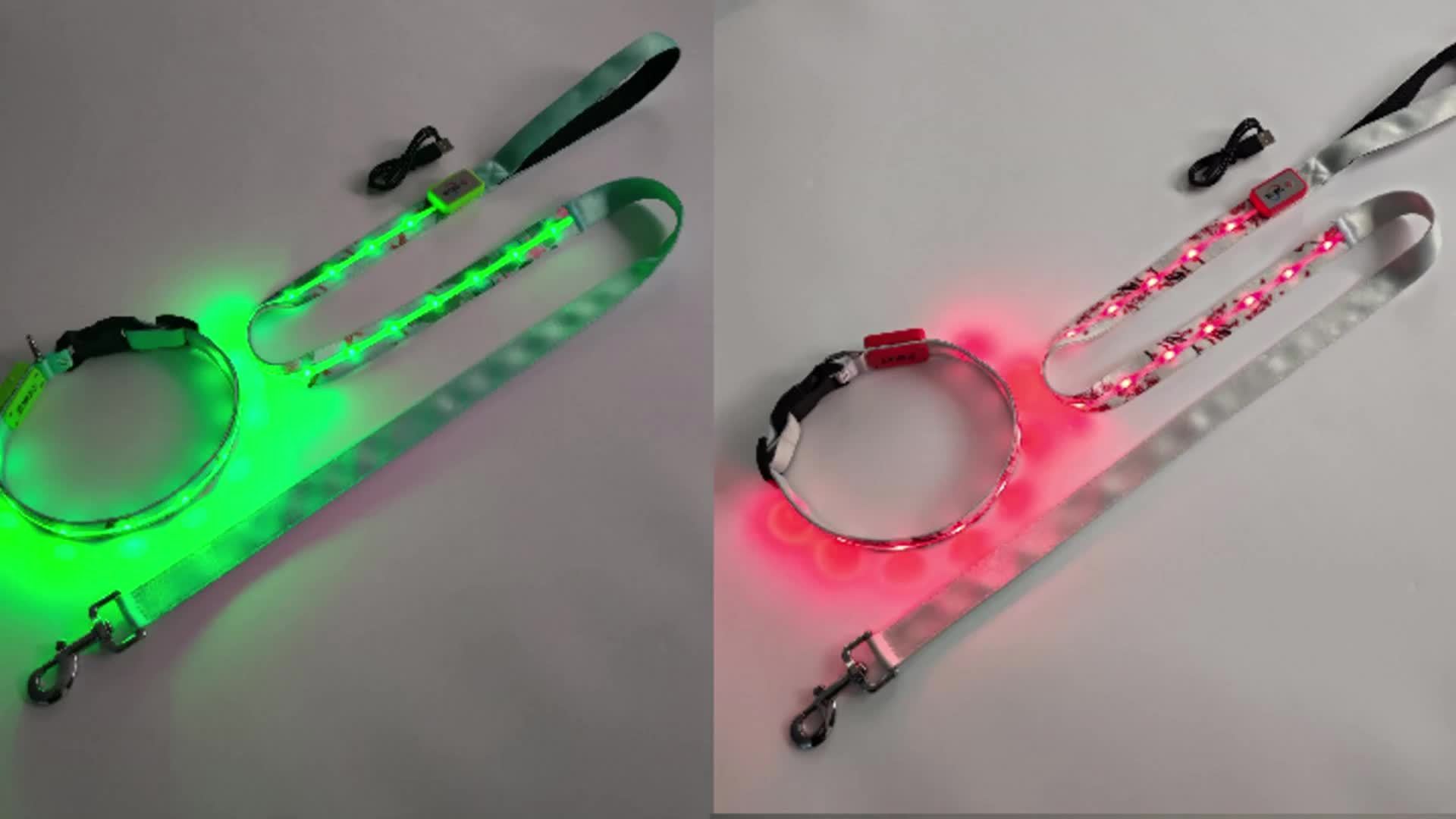 LED Nylon Pet Luminous Collar and Leash Set