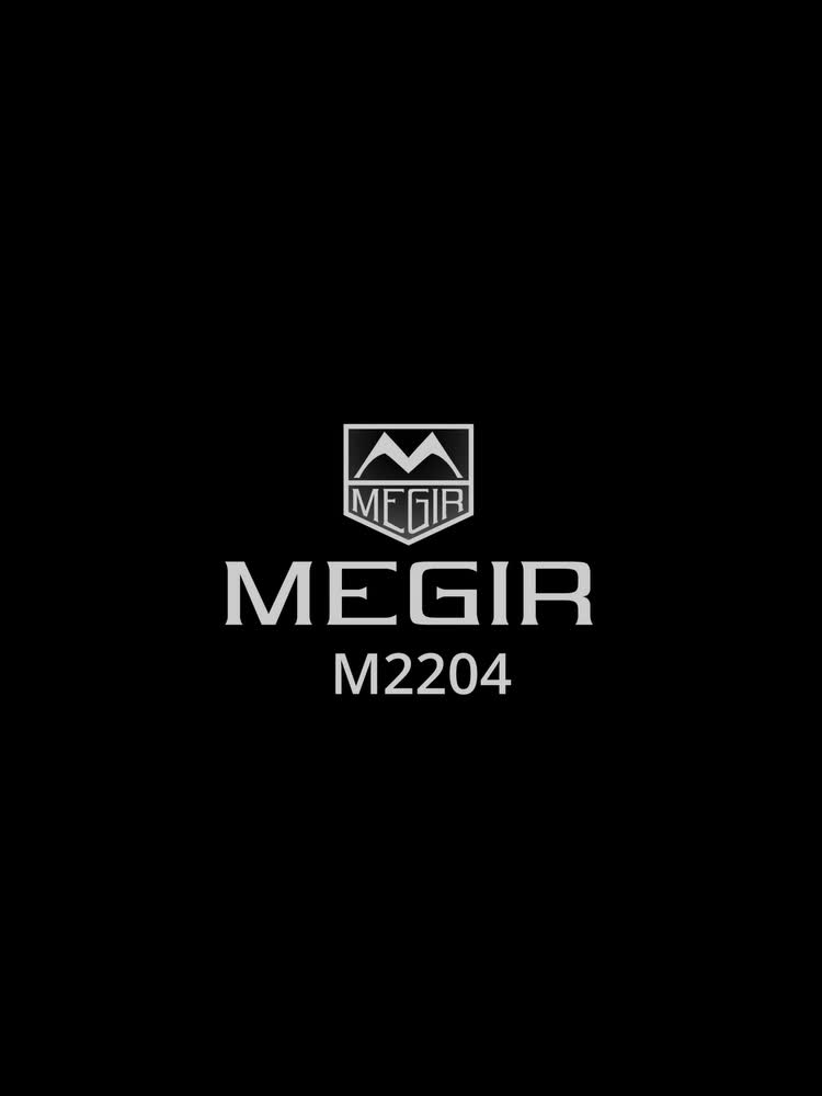 Megir logo 2025