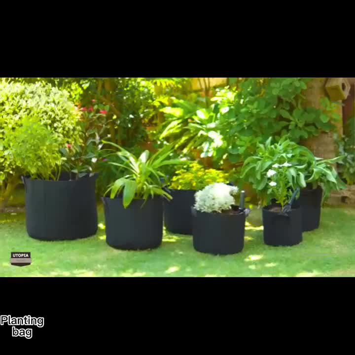 1pc Non-woven Fabric Potato Grow Bag, Minimalist Black Grow Bag