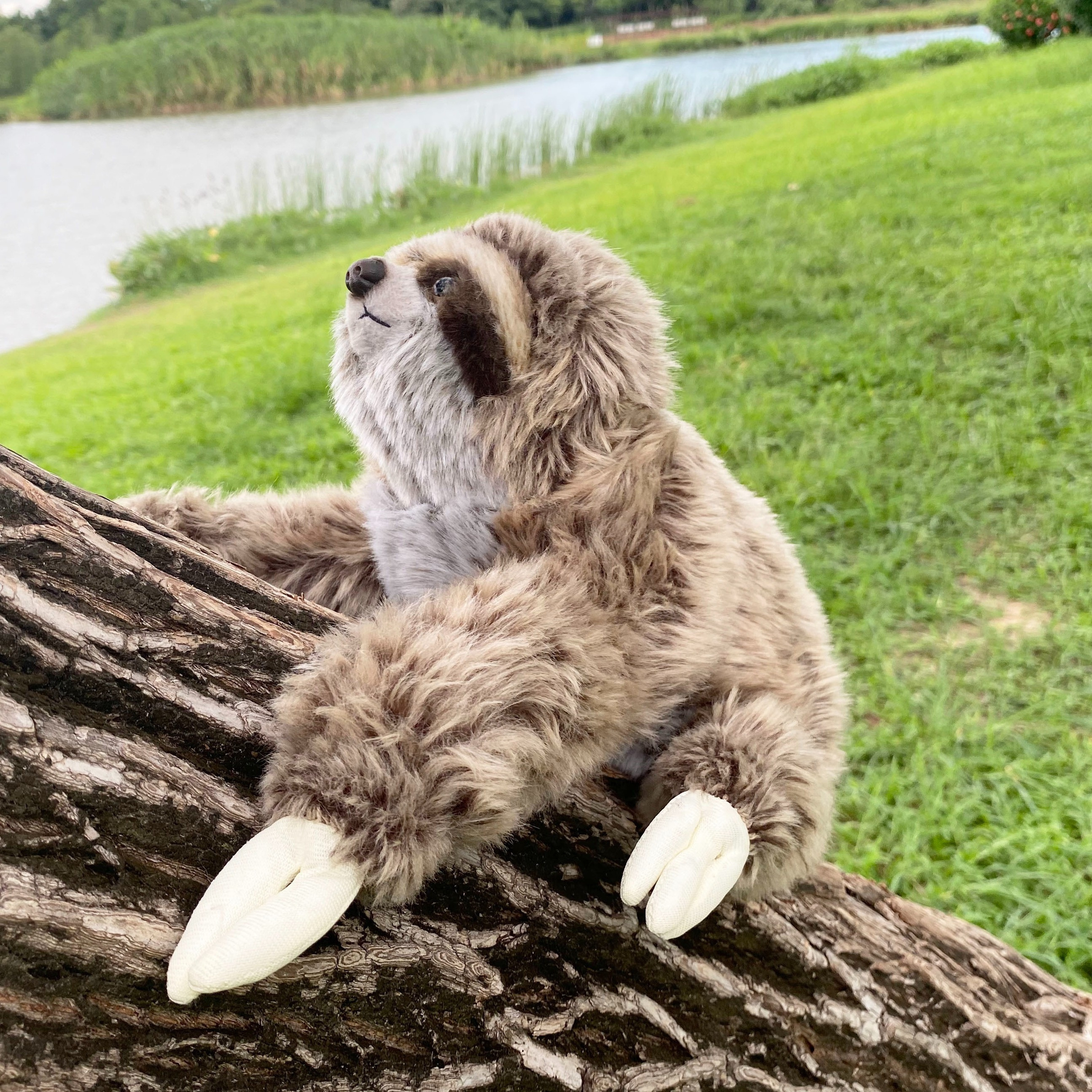 sloth plush sold on Temu Australia