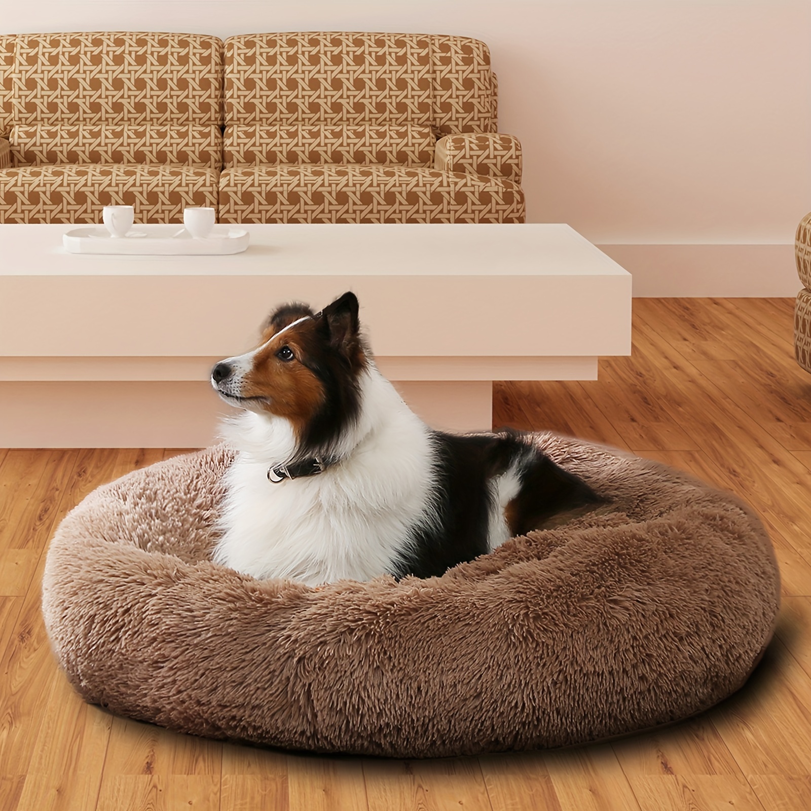 HOMOOK Rampe de lit autoportante pour petits chiens avec surface  antidérapante pour lits hauts, longueur réglable de 94 cm, supporte les  chats et