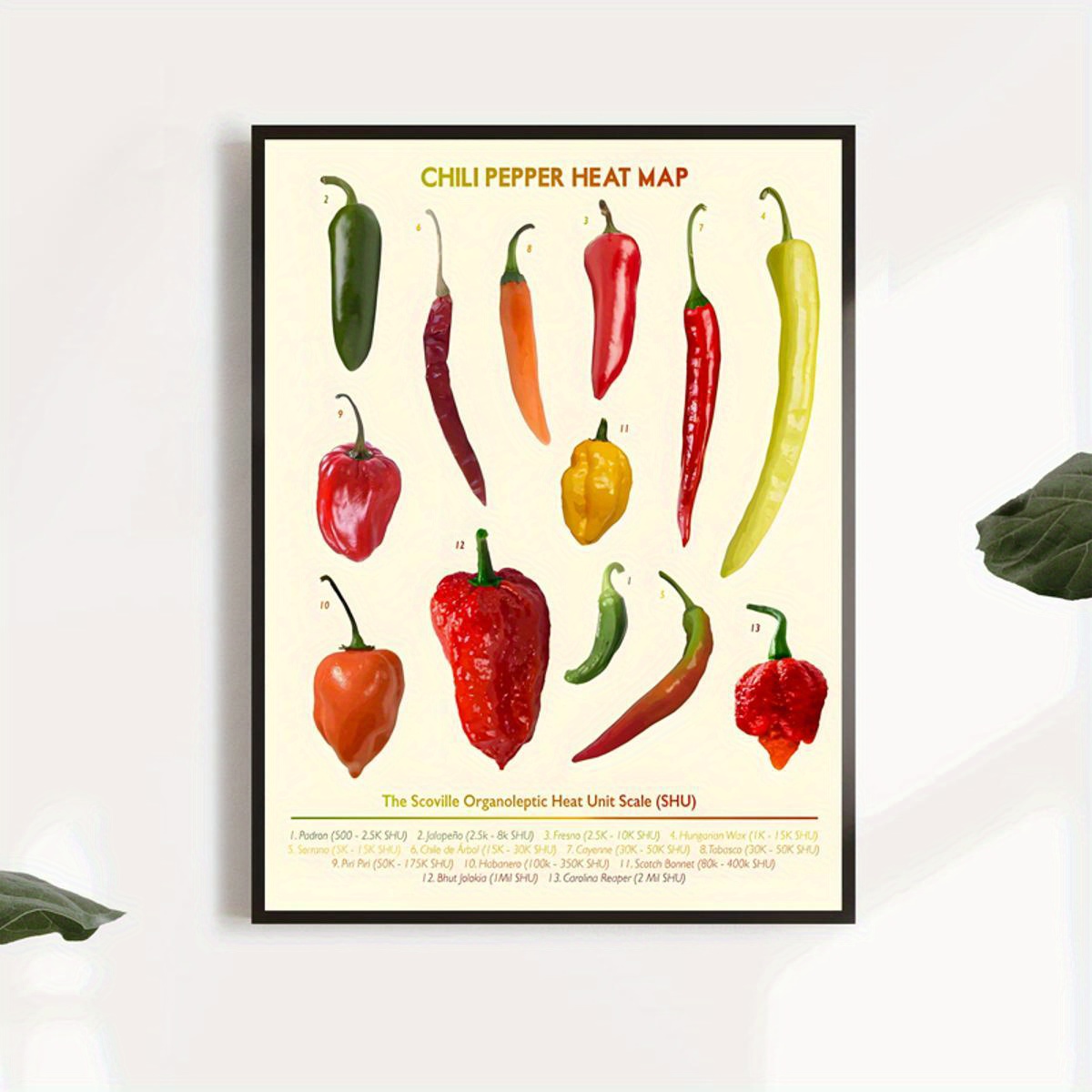 Vintage Pepper Scoville Scale Wall Art Knowledge Poster For - Temu