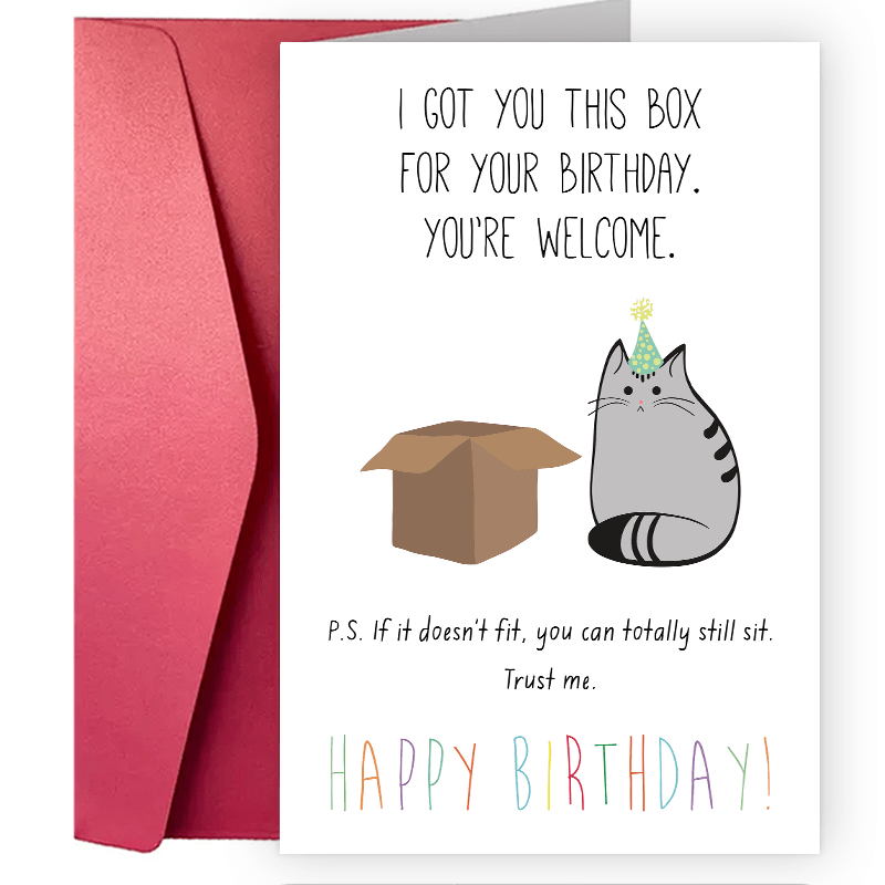 Pusheen the Cat - How To Have a Perfect Birthday - Blank Birthday Card