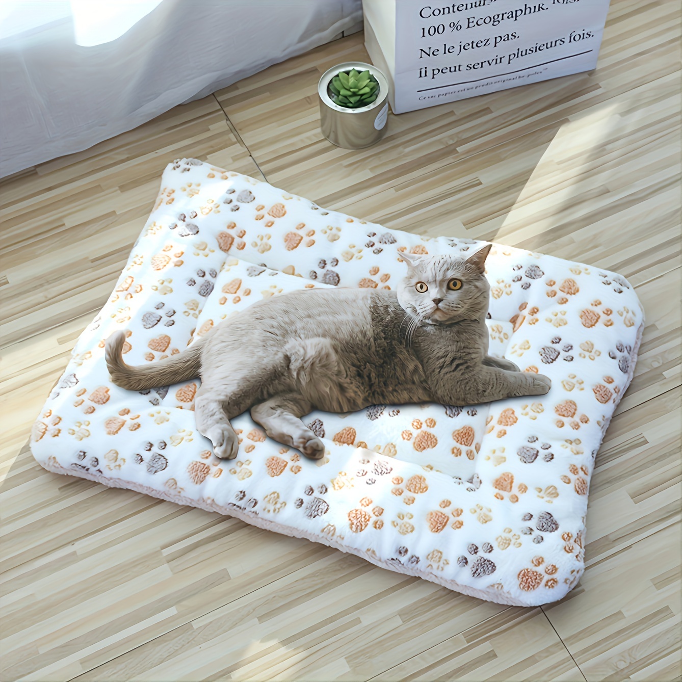 1pc Cat Throw Blanket, Funny Cat Gifts For Cat Lovers, Cat Memorial Gifts,  Cat Lover Gifts For Women Girls, Cat Themed Blanket Gifts, Cat Woman Gifts