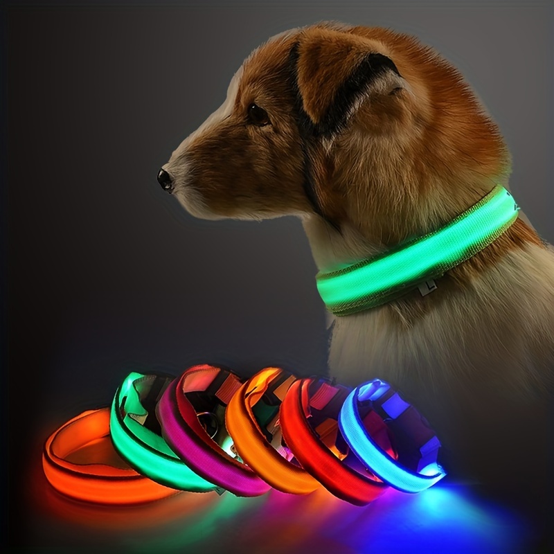 Collar de perro iluminado para caminar por la noche, collar de perro  recargable impermeable con LED, collares de perro que brillan en la  oscuridad
