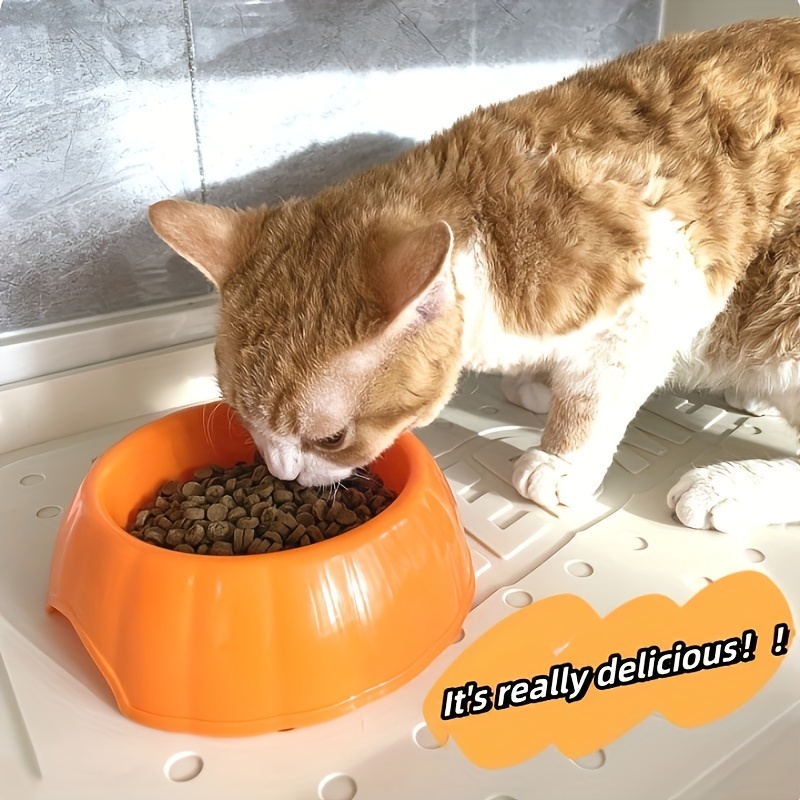 Cat clearance feeding trays