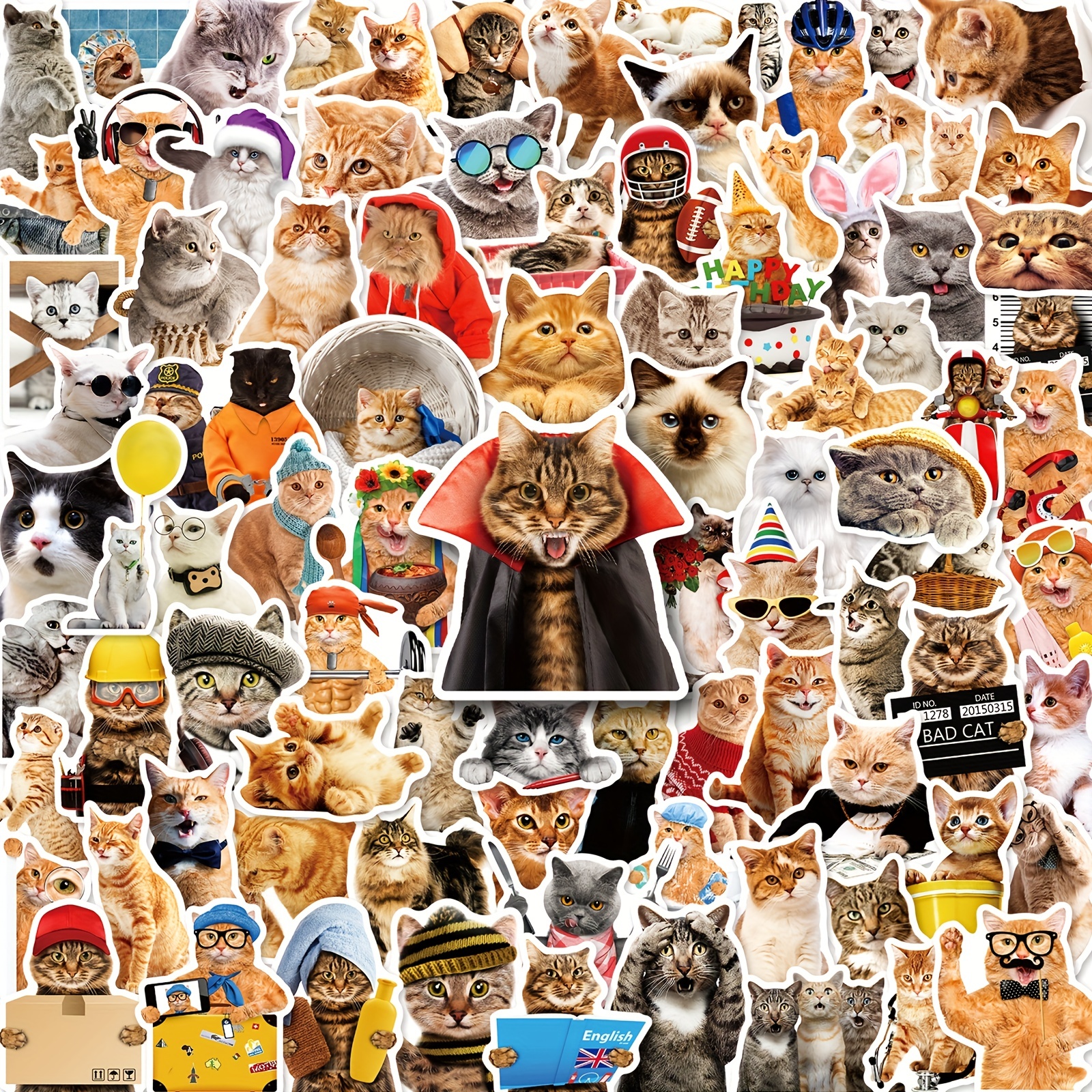 Realistic Cute Cat Mixed Stickers Cat Expression Stickers - Temu