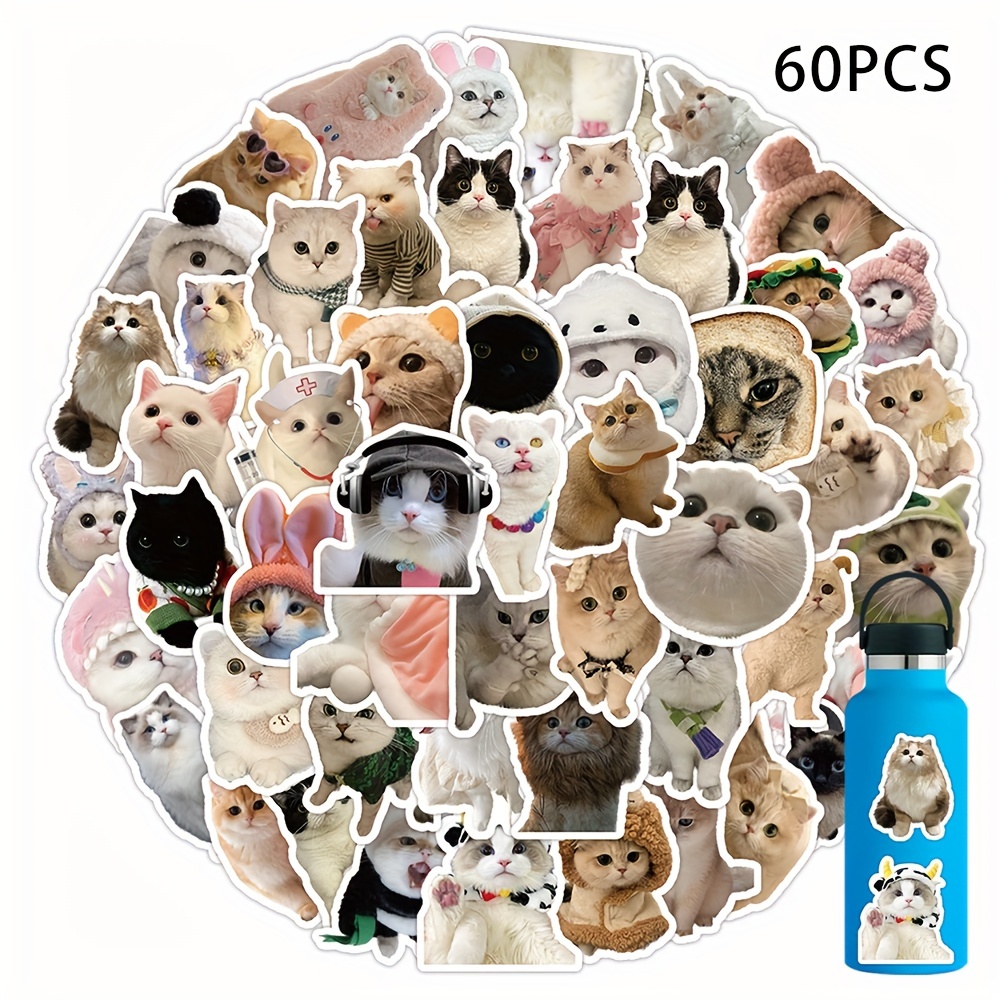 60pcs Cute Realistic Cat Stickers, Transparent Vinyl Cats Sticker For  Scrapbooking Journaling, Kitten Water Bottle Stickers, Cats Lover Gift