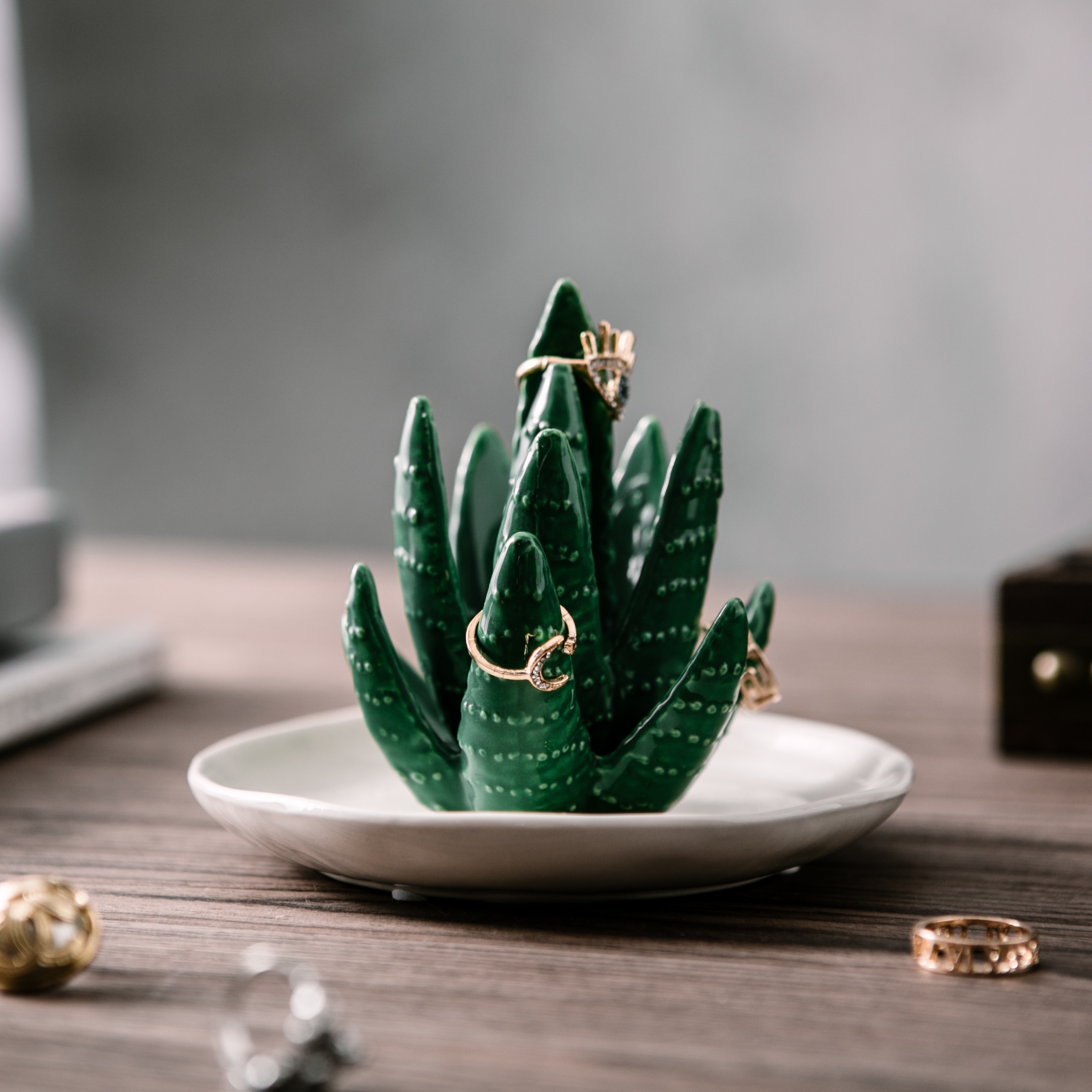 1Pc Cactus Ring Holder Ceramic Jewelry Box Decorative Ring Dish