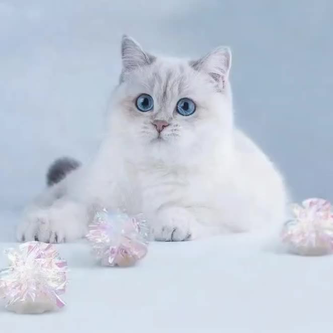 6pcs Crinkle Paper Ball Squeaky Toys for Cats