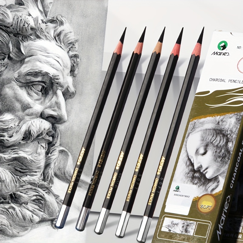 8Pcs/pack Profession Pencils Sketch Drawing Willow Charcoal Bar Artist Art  Crayons Painting Drawing Supplies Stationery Supplies - AliExpress