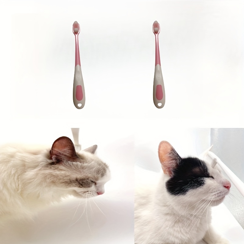 Petco cat deals toothbrush