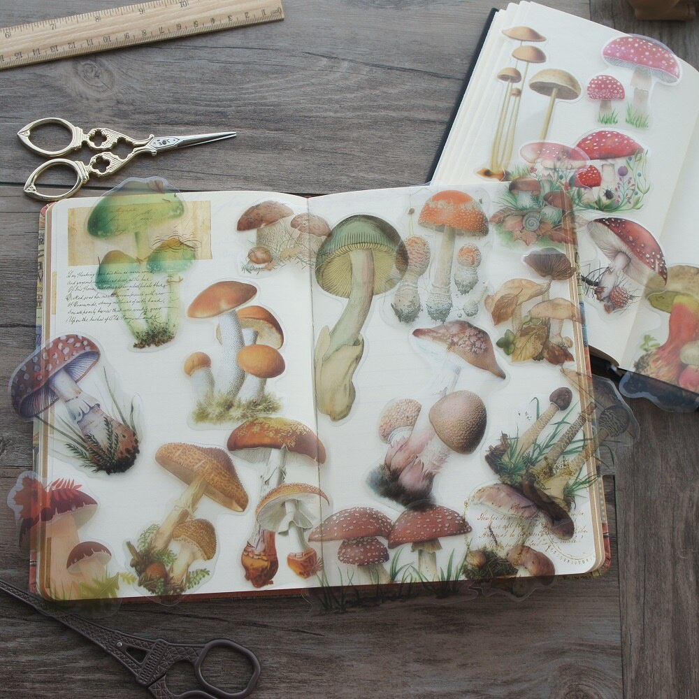 Autumn Mushrooms Sticker Pack Set - Mushroom Stickers - Cute - Decal cut