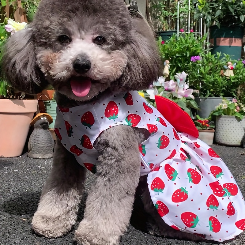  PUMYPOREITY Dog Dress, Dog Clothes for Small Dogs,Dog Harness  Dress,Small Dog Outfits,Dog Princess Costume,Dog Dresses for Small Dogs,Bunny,Cat,L,Rose  Red : Pet Supplies