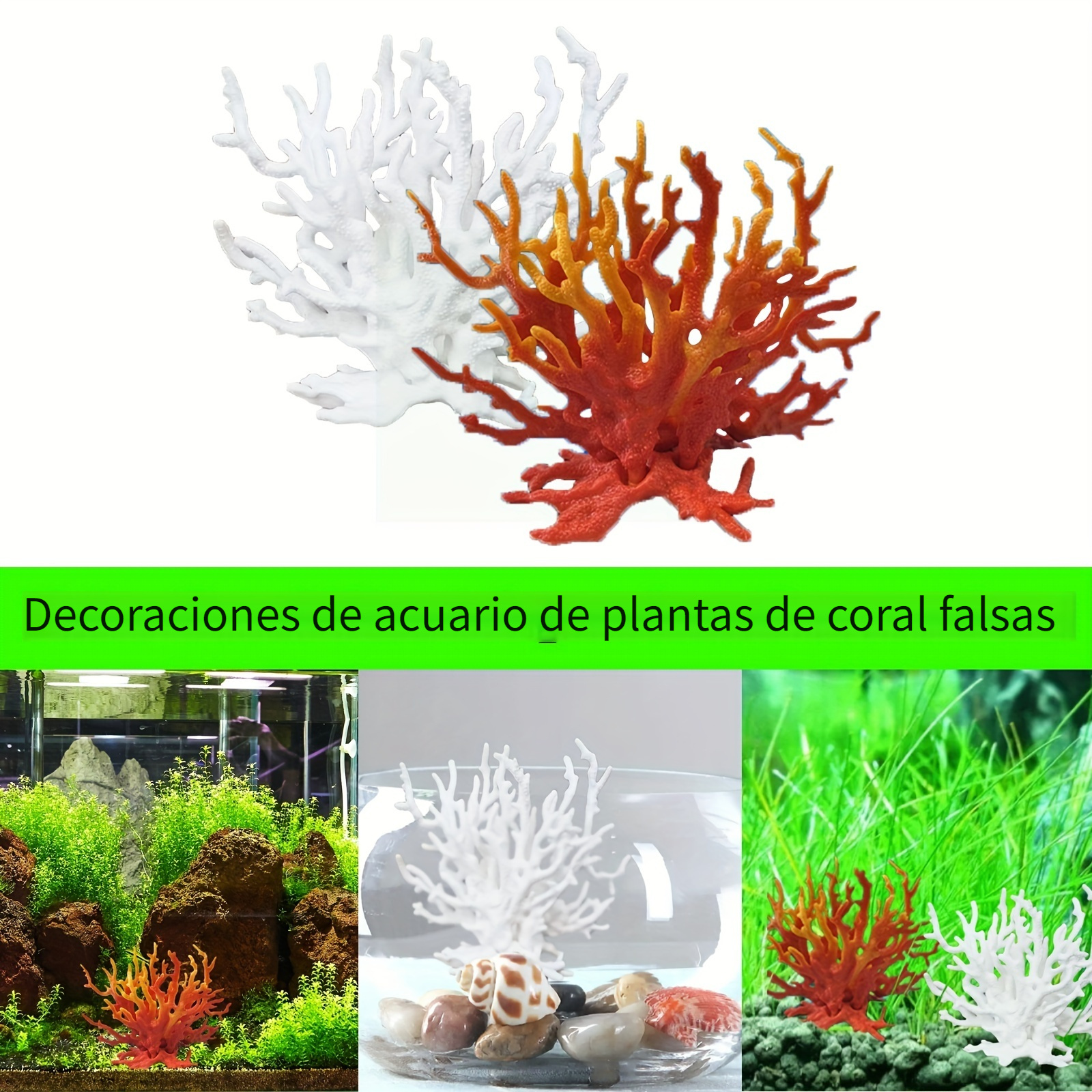 Conchas Mar Naturales, Conchas Caracol, Coral Blanco Estrella Mar Decoración  Acuarios - Mascotas - Temu